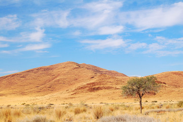 Dry Landscape in Namibia