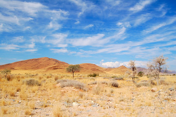 Typical Landscape in Namibia