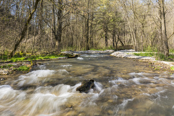 Deer Creek - A creek in a park in the woods during spring.