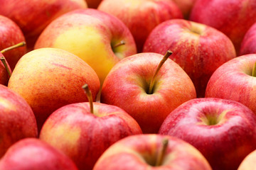 Fototapeta na wymiar many red apples, fresh fruit background in market