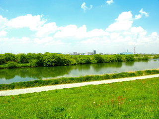 春の江戸川風景