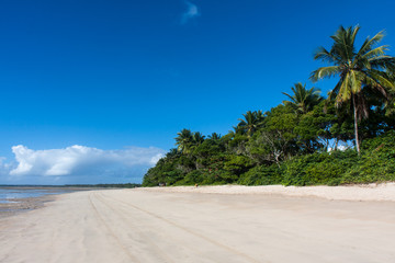 モーホジサンパウロ島