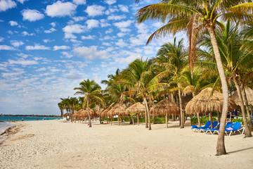 So called "Turtle Beach Akumal" in Mexico / Caribbean vacation at mexican tropical Beach in Quintana Roo