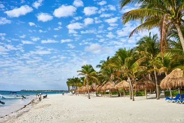 Poster So called "Turtle Beach Akumal" in Mexico / Caribbean vacation at mexican tropical Beach in Quintana Roo © marako85