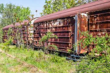 Old refrigerated railway wagon thrown by vegetation.