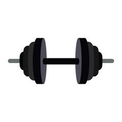 sport equipment flat icon