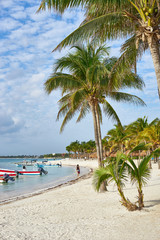 Fototapeta na wymiar Mexican Beach of Akumal a.k.a. The Turtle Beach / Caribbean Sea of Quintana Roo in Mexico