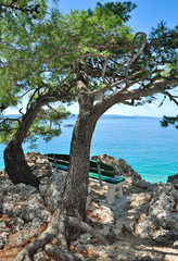 Fototapeta premium idyllischer Platz zum relaxen an der Seepromenade in Brela an der Makarska Riviera,Adria,Dalmatien,Kroatien