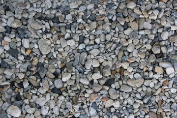 Rocks on the ground