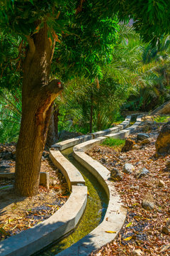 View of an oasis with typical falaj irrigation system in the Wadi Tiwi in Oman.