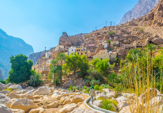 View of an oasis with typical falaj irrigation system in the Wadi Tiwi in Oman.