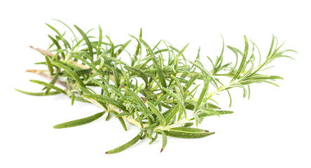 Rosemary (Rosmarinus officinalis) isolated on white