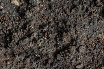Soil background