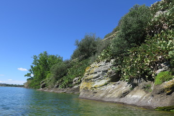 scogliera con fichi d'india