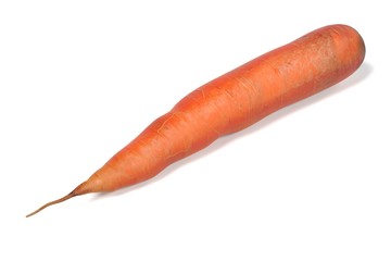 realistic 3d render of carrot
