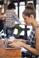 Young woman using laptop in restaurant