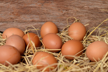 Chicken eggs on straw