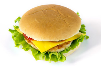 Tasty cheeseburger isolated on white background