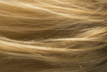 Hair Texture