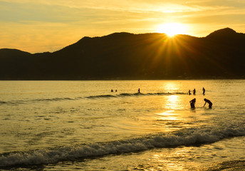 Fototapeta premium pantano do sul / florianópolis