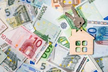 The symbol of the house lies on the background of the Euro