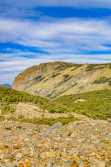 Patagonia Forest Landscape, El Chalten, Argentina