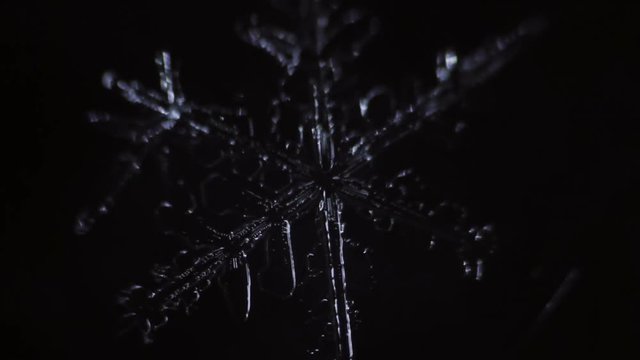 beautiful snowflake branches is disappear by the time