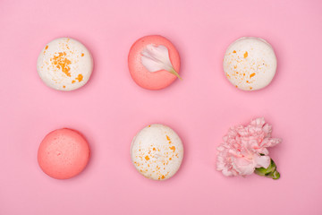 Top view of fresh macarons and Carnation flower on pink surface. Sweet macarons pattern concept