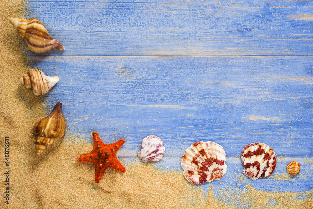 Wall mural Sea shells on the wooden floor
