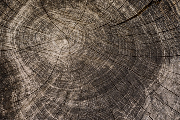 Naklejka premium Wooden background