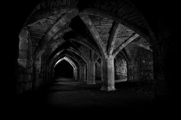 Naklejka premium Finchale Priory Durham