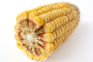 Corncob, maize, corn ear