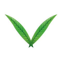 green textured leaf icon image vector illustration design