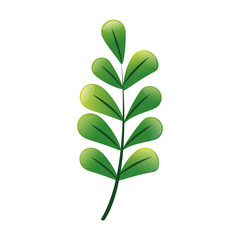 green textured leaf icon image vector illustration design