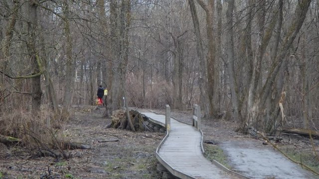 promenade en for&ecirc;t
