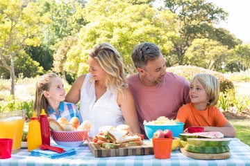 Happy family interacting with each other while having meal in pa