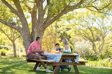 Happy family interacting with each sited in a park