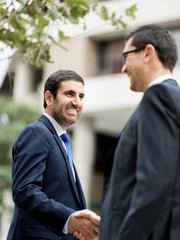 Two businessmen shaking their hands