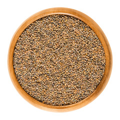 Wild rocket seeds in wooden bowl. Diplotaxis tenuifolia, also perennial wall rocket, Lincoln weed or wild Italian arugula. Used for sprouting. Macro food photo close up from above on white background.