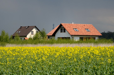 New house in the country behind the field of the rapeseed - obrazy, fototapety, plakaty