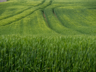 Ackerbau