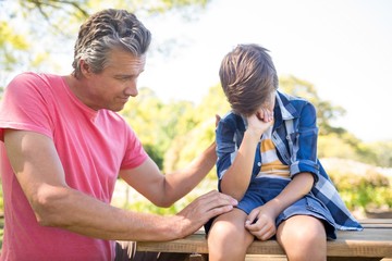 Father consoling his son at picnic in park