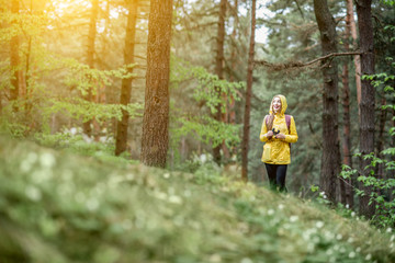 Obraz premium Landscape view on the pine forest with woman hiking in yellow raincoat