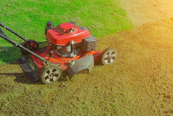 Fototapeta premium Lawn mower cutting green grass in backyard,Garden service,grass cutter cutting green lawns.