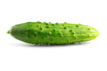 Fresh cucumber isolated on white background, close-up view