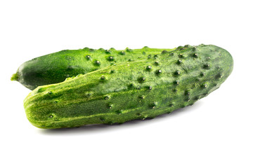 Two fresh cucumbers isolated on white background, close-up view