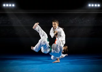 Brushed aluminium prints Martial arts Children martial arts fighters
