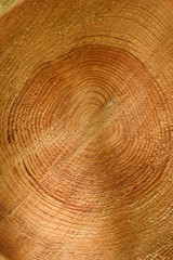 Naklejka premium 丸太