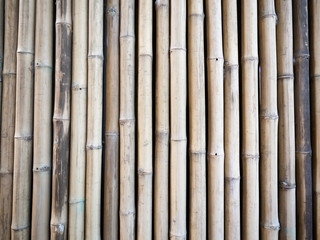 White bamboo fence background with some grunge.