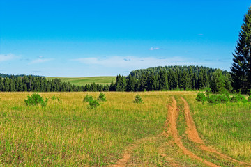 dirt road in the field